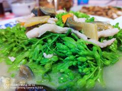 上汤夜香兰-龙桥私厨·姜花菊花过桥鱼·顺德菜(容桂店)