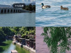 -颐和园