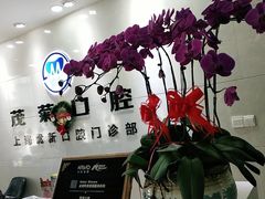 -茂菊口腔连锁(浦东南路店)