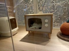 -BABIT巴比特宠物(MOMOPARK店)