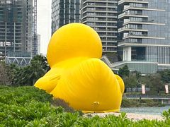 -深圳人才公园