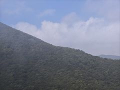 -灵山