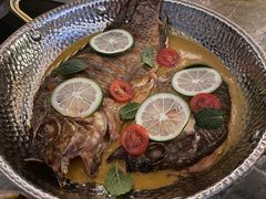 -Hi City·城市之巅