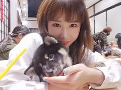 -逗柴咖啡屋·狗咖猫咖宠物桌游