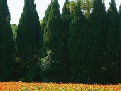 -华东政法大学(松江校区)