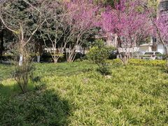 -杭州九堡客运中心