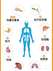 点击看大图 -香薇妮丝女子减肥院