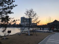 -西海子公园