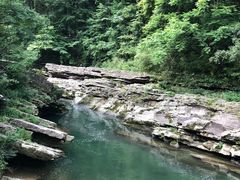 -黎坪国家森林公园