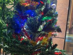 -木屋烧烤(龙华店)