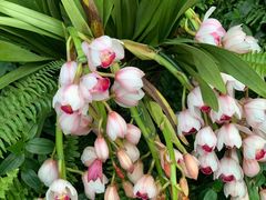 -北京植物园-展览温室