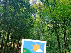 -上海佘山国家森林公园天马山园