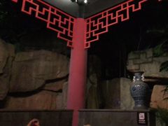 -海口观澜湖火山温泉谷