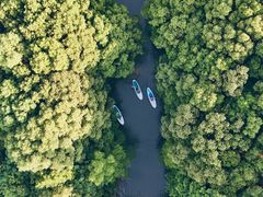 -动邦皮划艇·桨板·独木舟·团建户外运动俱乐部