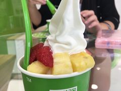 -Salud撒露欧洲冻酸奶(北苑上品店)