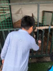 -小蜜蜂农场(凯德七宝购物广场店)