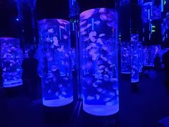 -成都浩海立方海洋公园