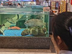 -聚福宝合苑食府(南头镇店)