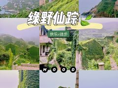 -枸杞岛