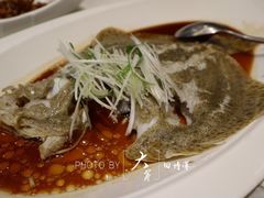 古法清蒸多宝鱼-万龙洲海鲜(大兴绿地缤纷城店)