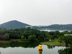 -上海佘山世茂艾美酒店