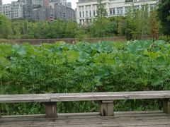 -沐仙湖湿地公园