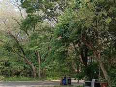 -北陵公园