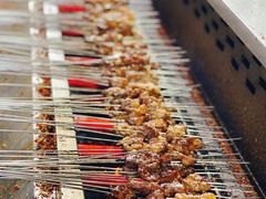 -清真·马峰烤肉(小学习北巷店)