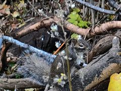 -玉渡山自然风景区