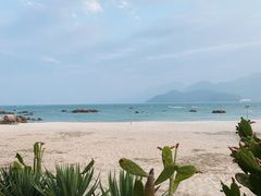 -花海间·即刻露营