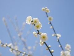 -南湖湿地公园