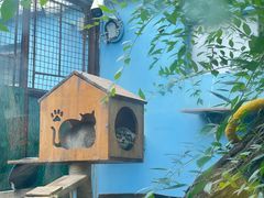 -青藏高原野生动物园