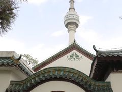 -龟山风景区-龟山电视塔