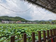 -红山村