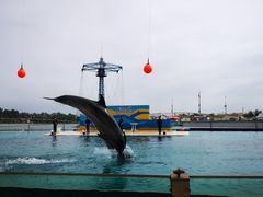 -秦皇岛乐岛海洋王国