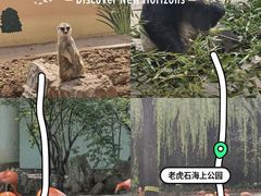 -石家庄市动物园