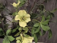 -Dragonfly 悠庭·按摩Spa(苏州中心广场店)