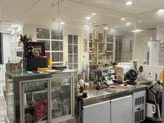-楼上猫咖(罗湖店)