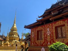 -西双版纳傣族园
