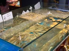 -魏铭鱼头捞饭(晋阳路店)