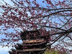 -杭州半山国家森林公园