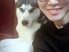 -派多格宠物(鼓楼店)