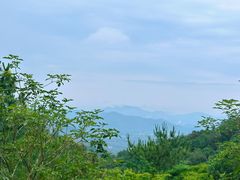 -广州白江湖森林公园