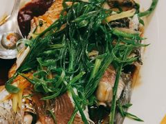 清蒸皖鱼-金豪沙姜鸡饭店(昌平路店)