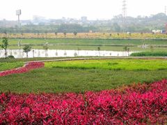 -那考河湿地公园