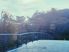-飞凤山奥体公园
