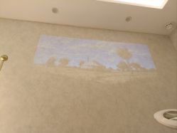 -苗方清颜专业祛痘