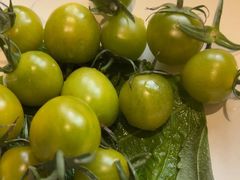 -77号渔船·蒸海鲜青岛菜(积米崖店)