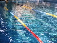 -重庆市奥林匹克体育中心-游泳跳水馆