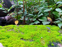 -碓臼峪自然风景区